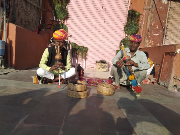 hawa mahal snakes