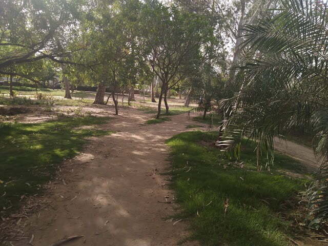 Jogging track in the garden