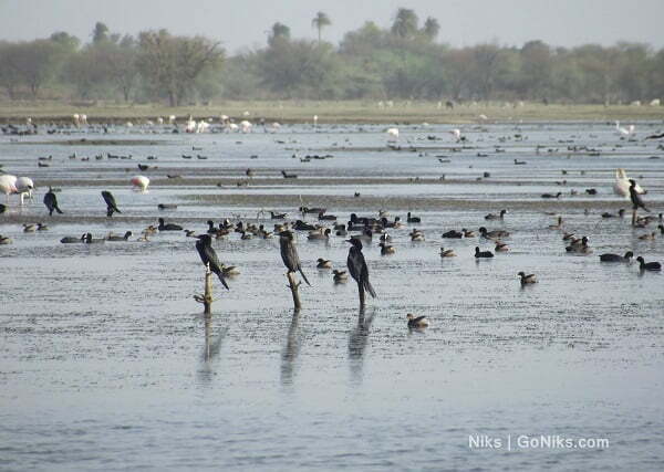 Ghana Bird Sanctuary