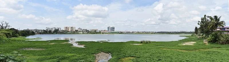 bangalore city view