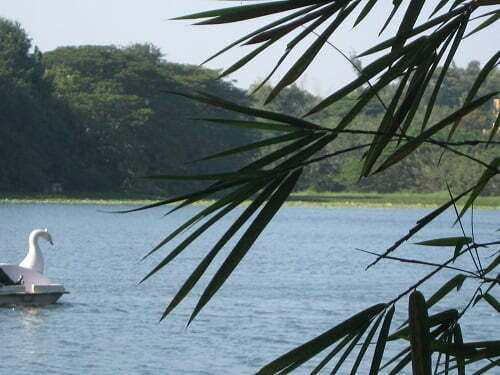 karanji lake in mysore