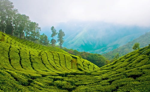 Top 10 Hill Stations in Karnataka - Hill Stations Karnataka