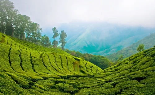 top 10 hill stations in karnataka