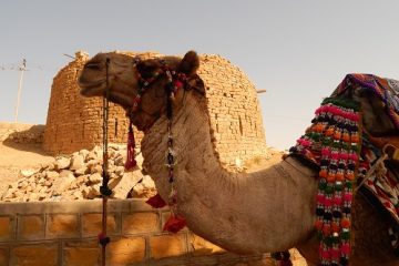 Camel ride in Jaisalmer tour package