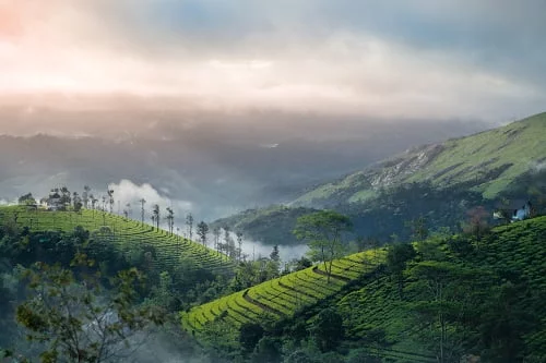 tourist places in kerala