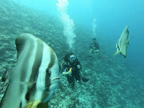 scuba diving in goa